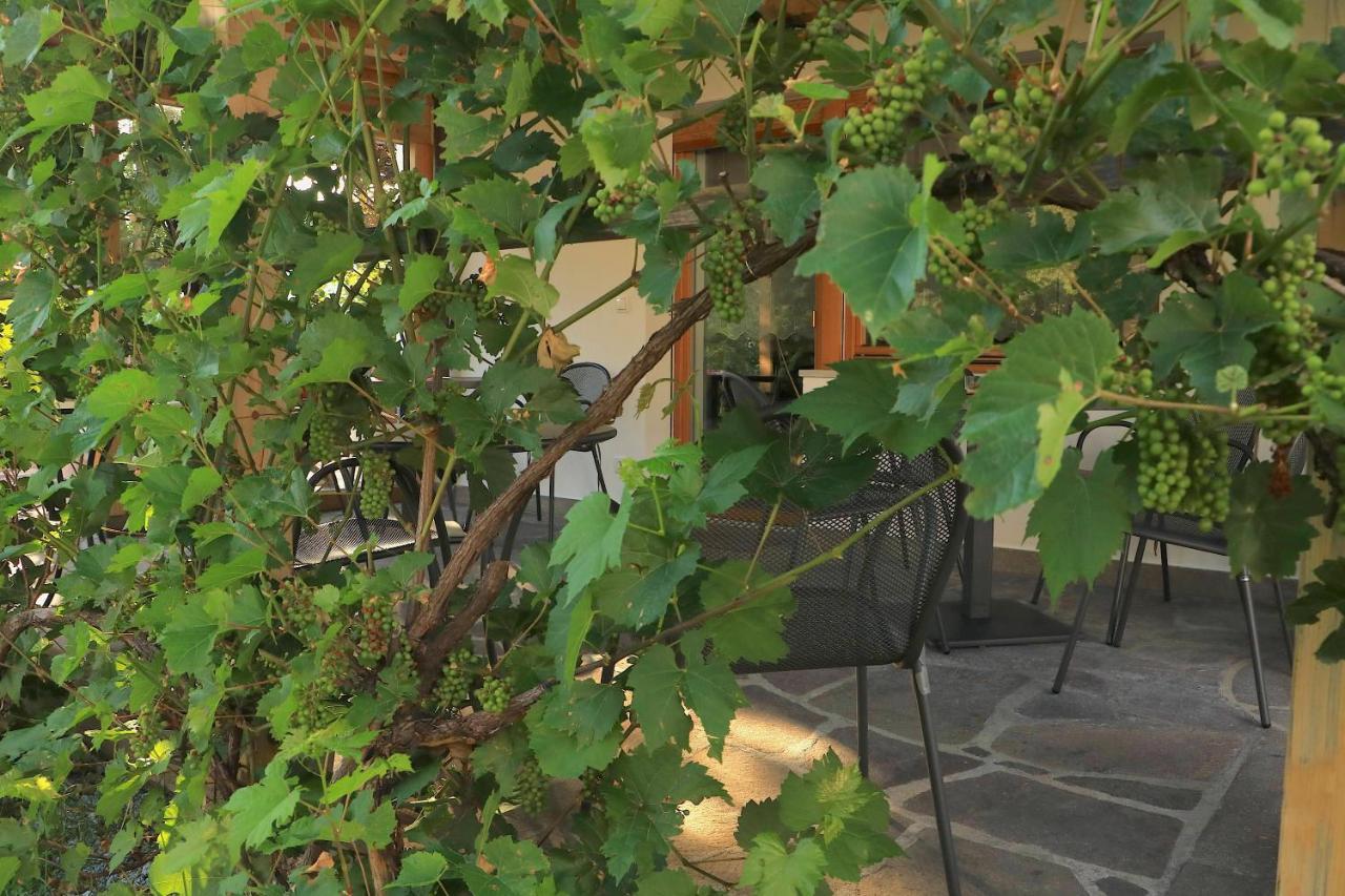 B&B Fruehlingsheim Racines Dış mekan fotoğraf